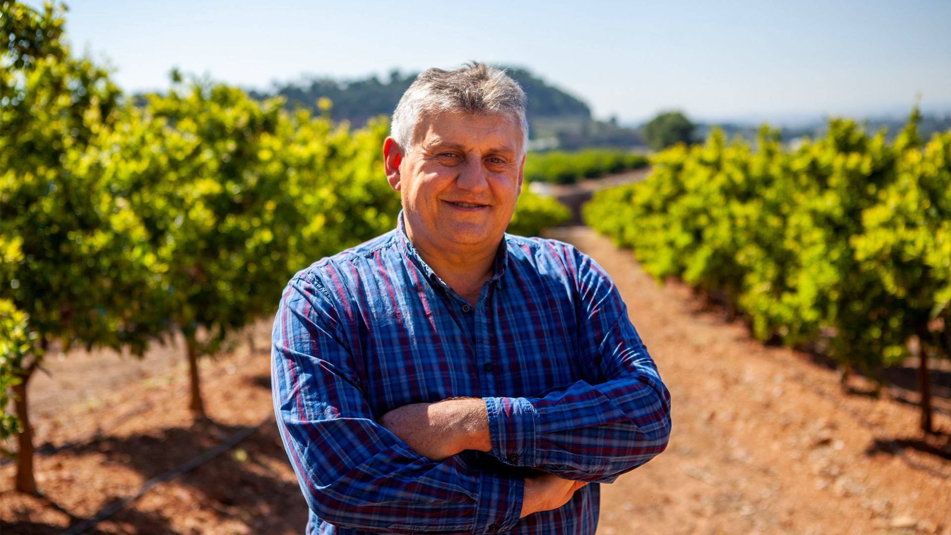 agricultor en cítricos