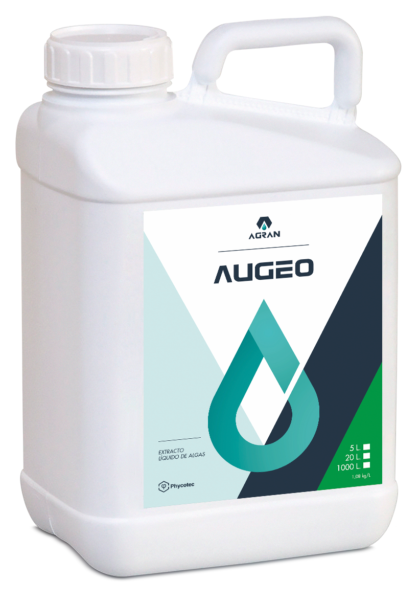 floración y cuajado de frutos