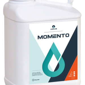 Producto MOMENTO