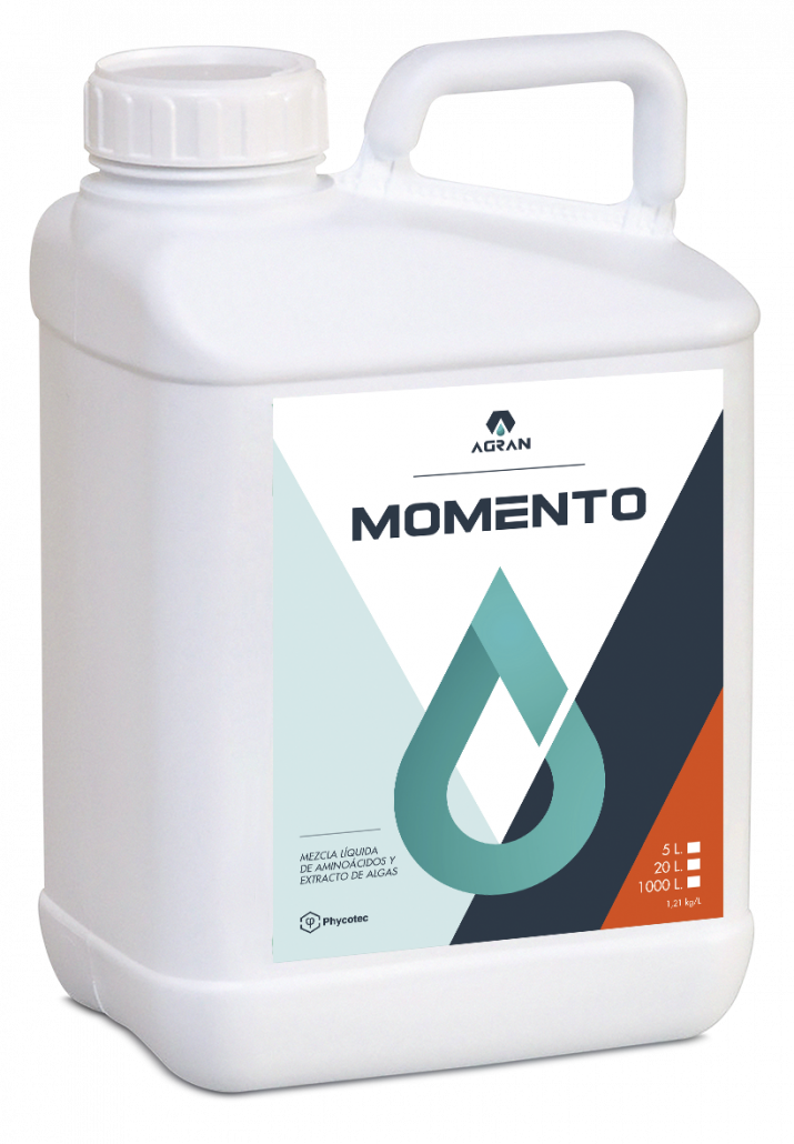 Producto MOMENTO