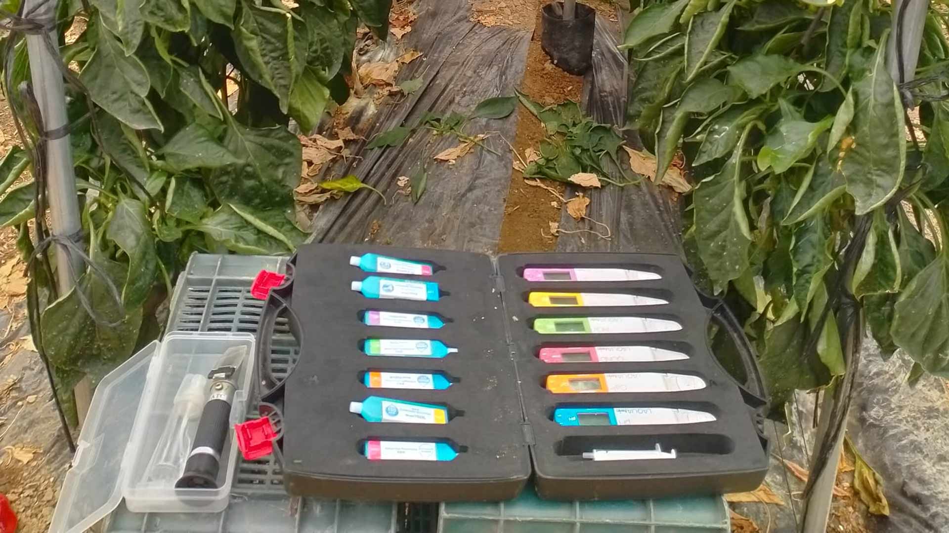 análisis de savia para los cultivos