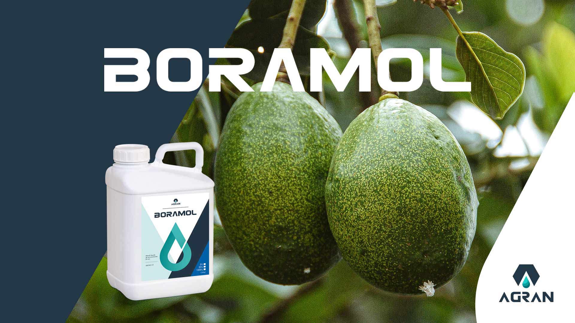 importancia del boro y el molibdeno en agricultura