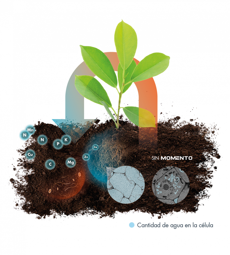 neutralizador de estrés