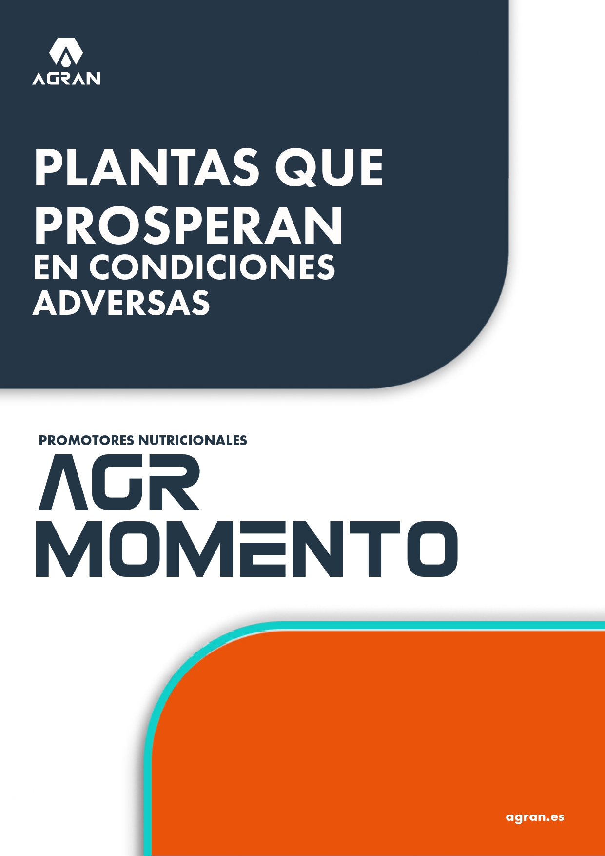 portada-folleto-momento